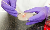 бактериальный вагиноз, анализ, микроскопия мазка